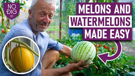 melons tue|Melon